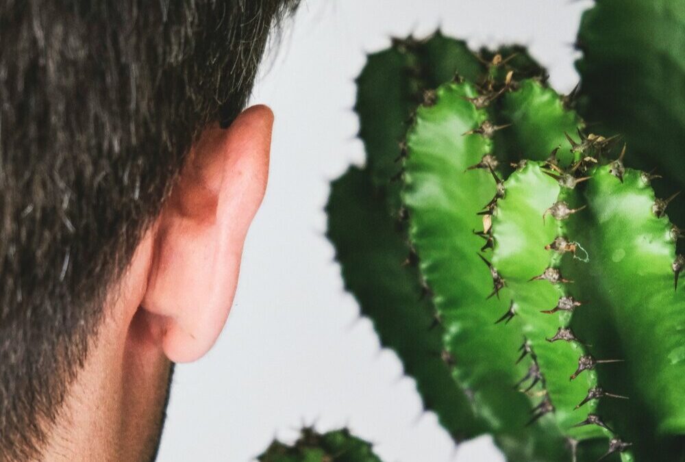 Tacere per evitare o per ascoltar(ci)?